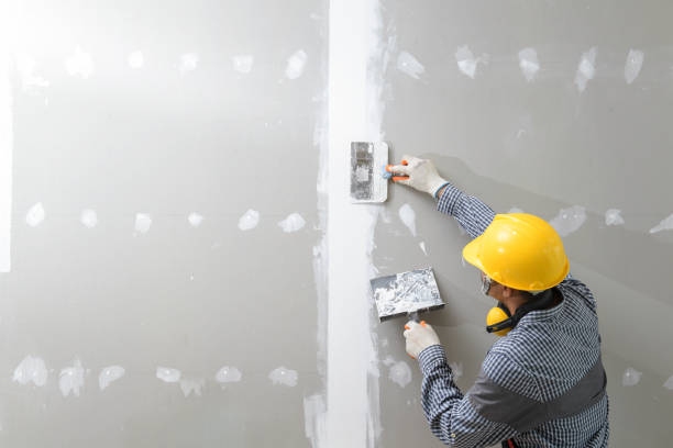 Best Mold Remediation for Rental Properties  in USA